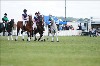 UKPA NC SAT_2514